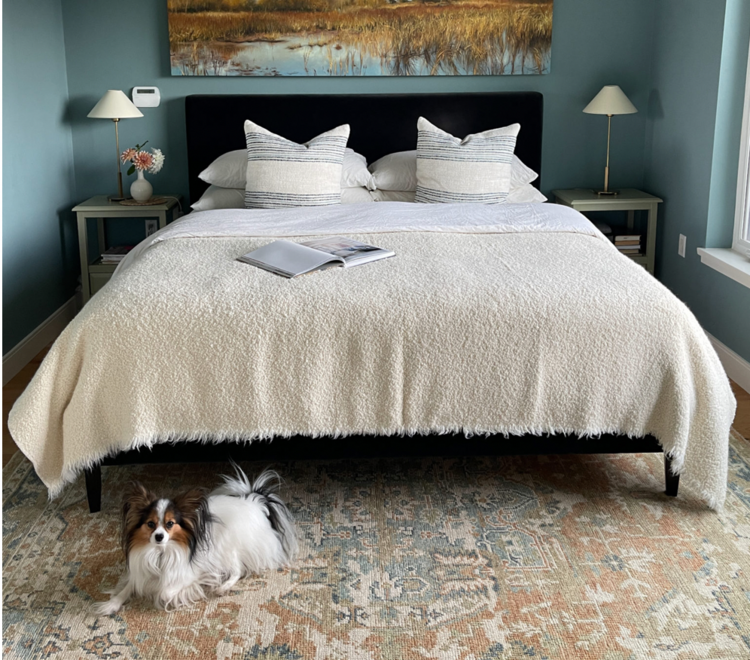 Gild & Co. Upholstered Bed in Velvet