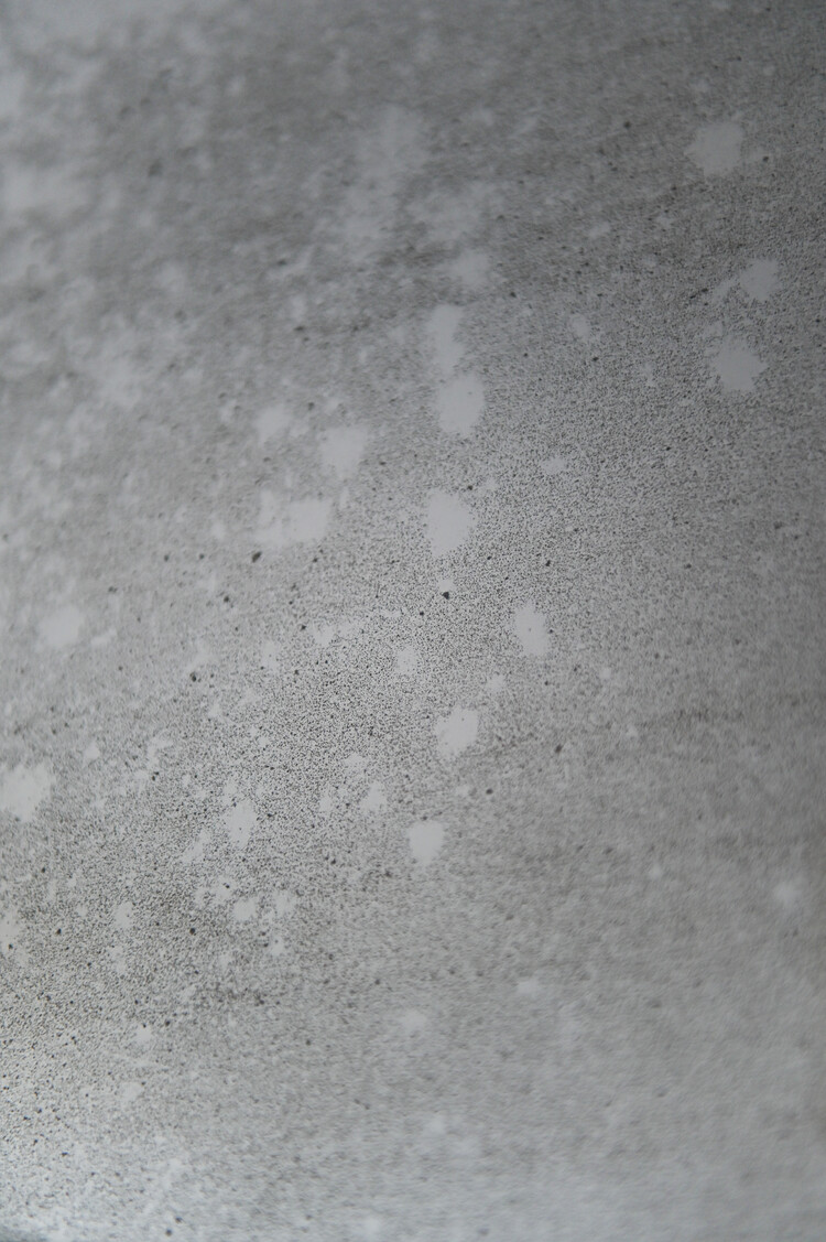 Antique Antique Louise Philippe Tall Silver Leaf Framed Mirror