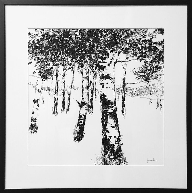 Maria Josenhans Aspens, framed drawing