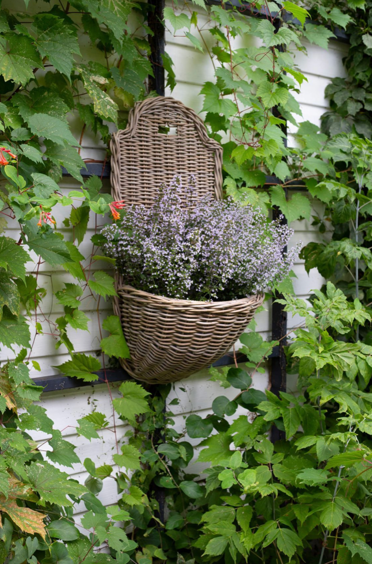 Bacon Basketware Grey Rattan Lavabo Wall Basket or Planter