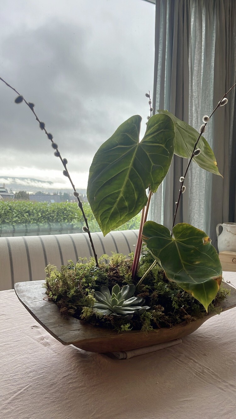 Antique Antique Wooden Dough Bowl Large Rectangular