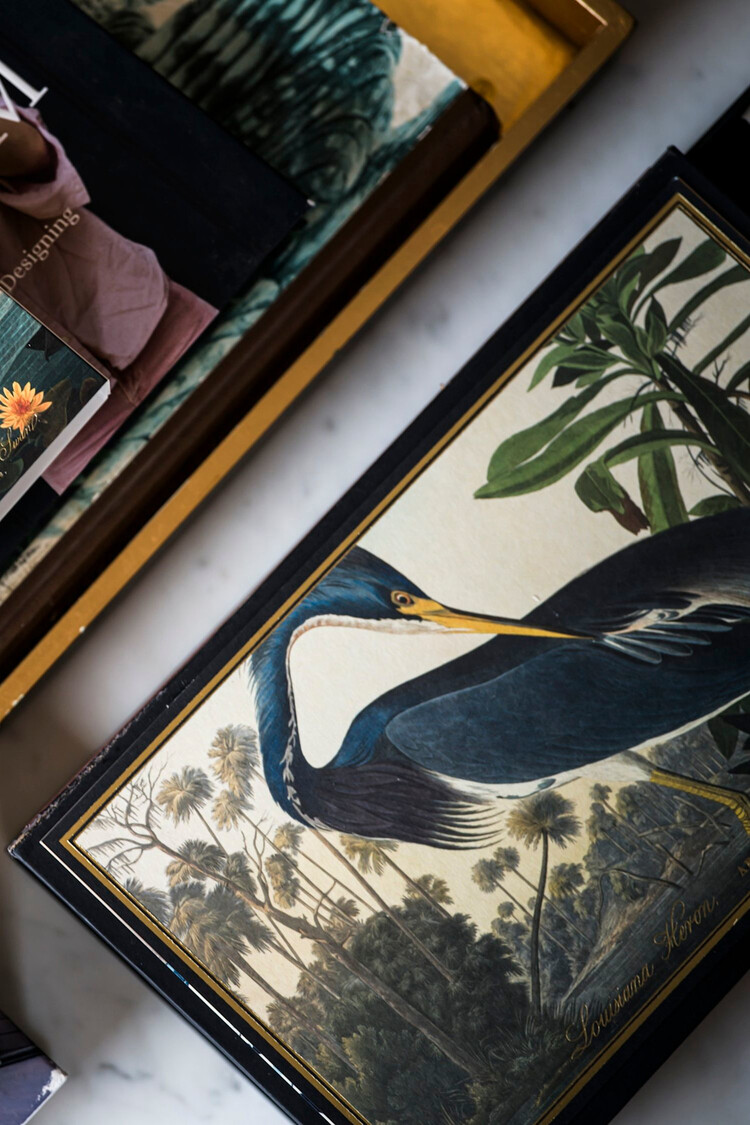 Louisiana Heron Giant Matches