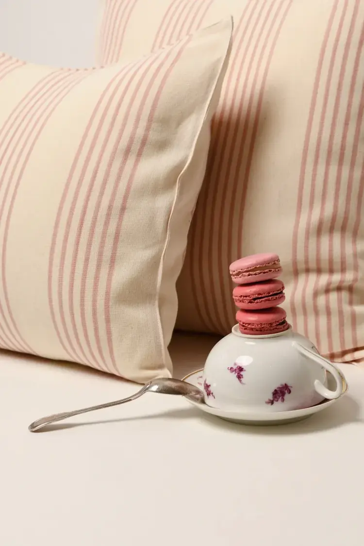 Left Bank Stripe Cushion - Pink Stripe