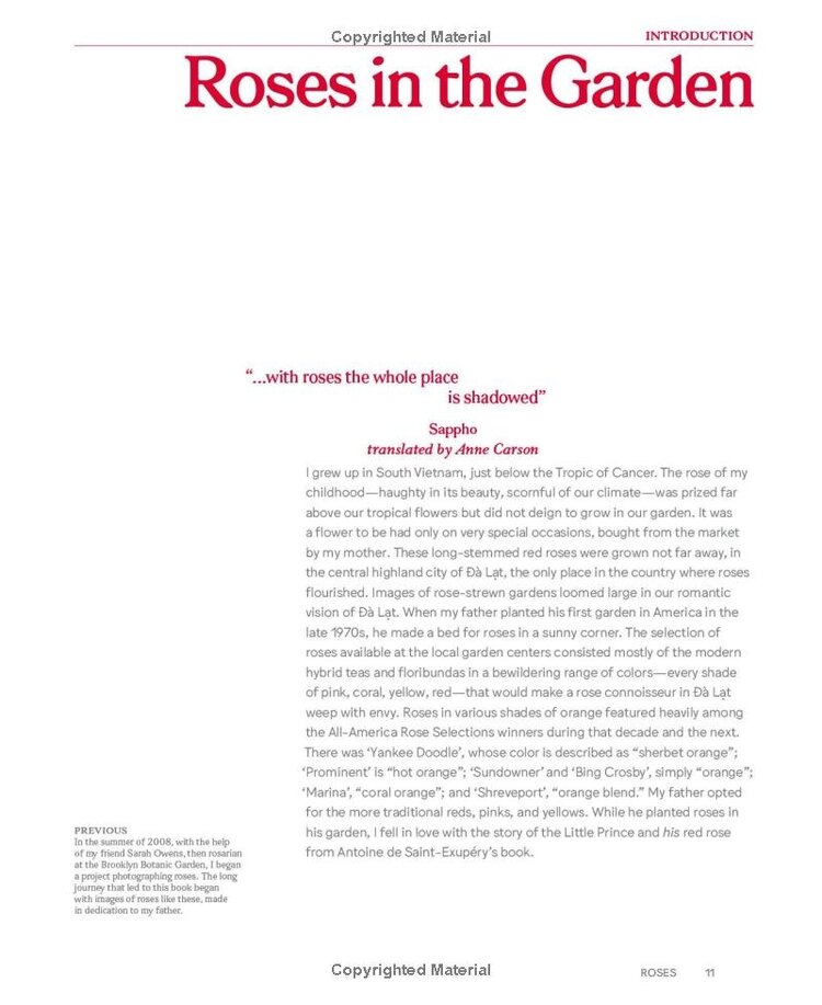 'Roses in the Garden' book
