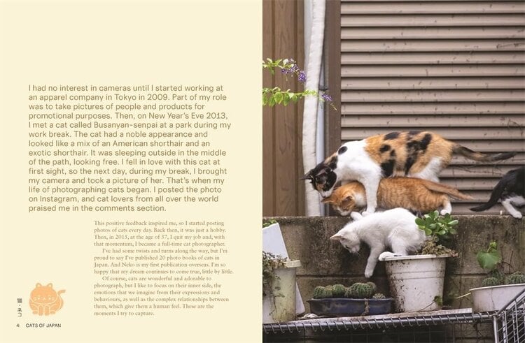 Gild & Co. 'Neko: Cats of Japan' book