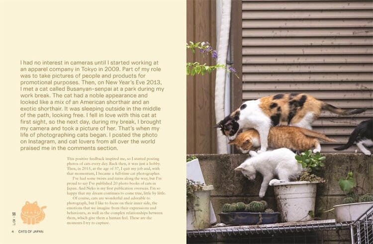 'Neko: Cats of Japan' book