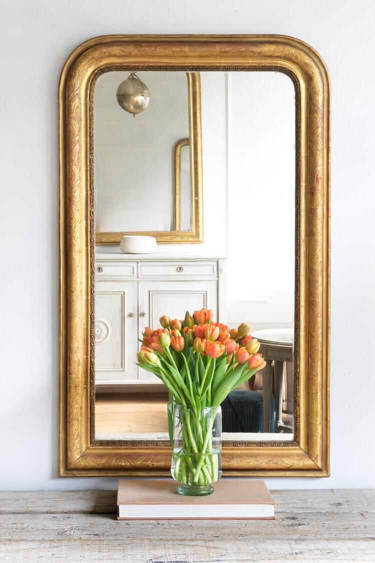 Pied Douche Transparent Vase