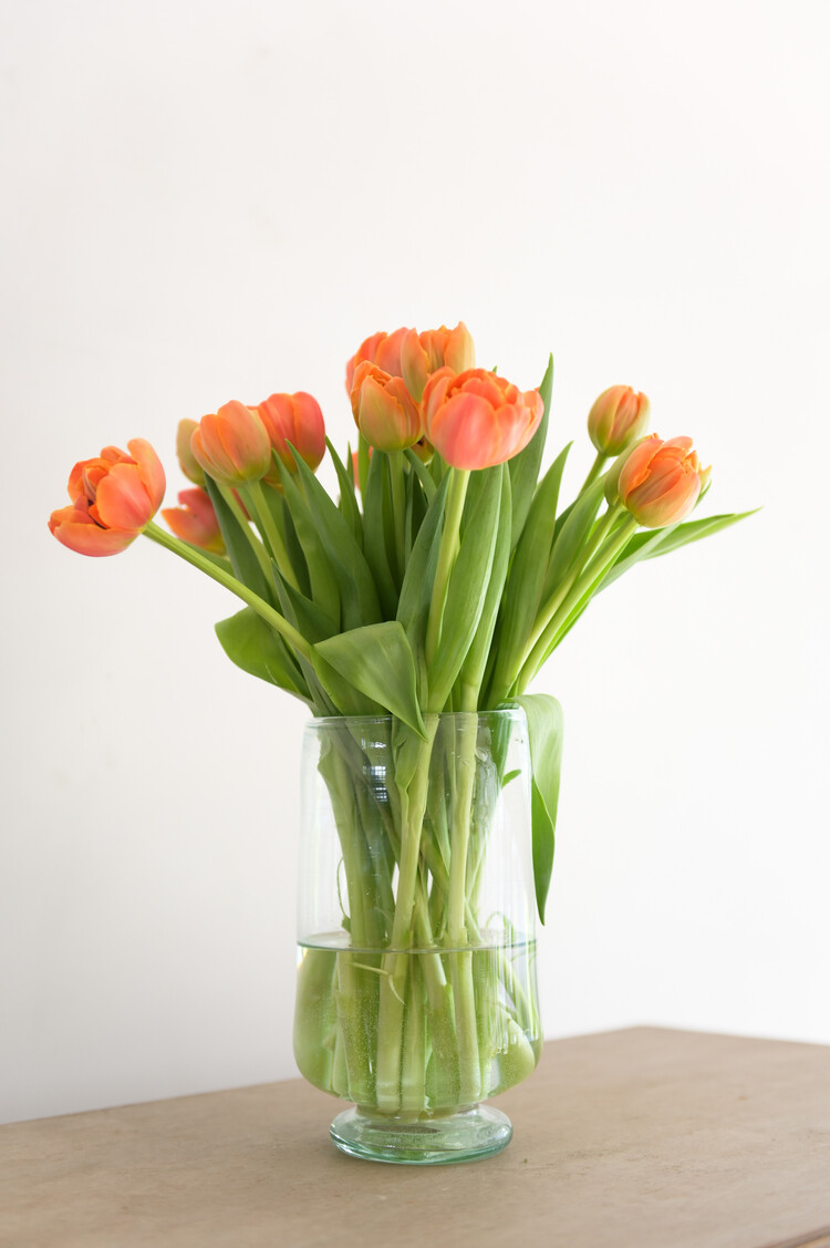 Pied Douche Transparent Vase