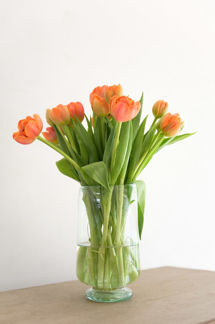 Pied Douche Transparent Vase