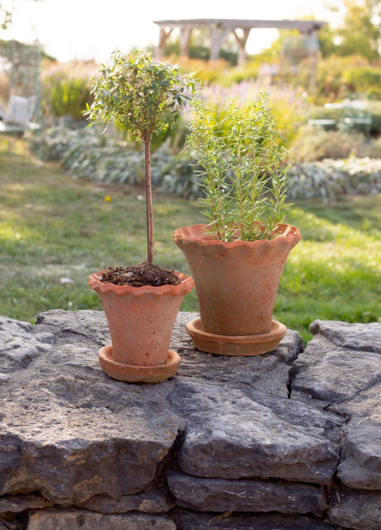 Redstone Planter Pot with Saucer