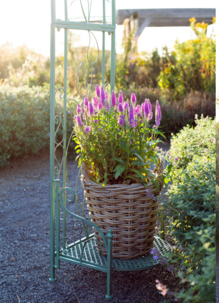 Grey Rattan Bushel Basket