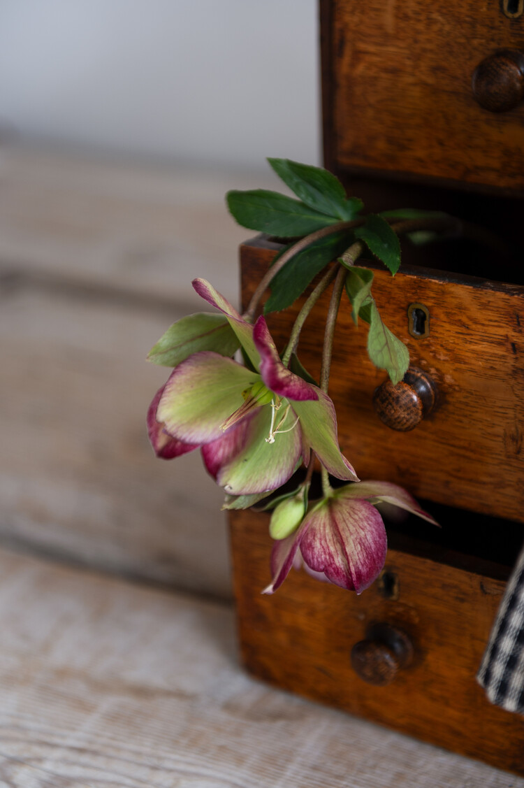 Antique Wooden Mini Drawers