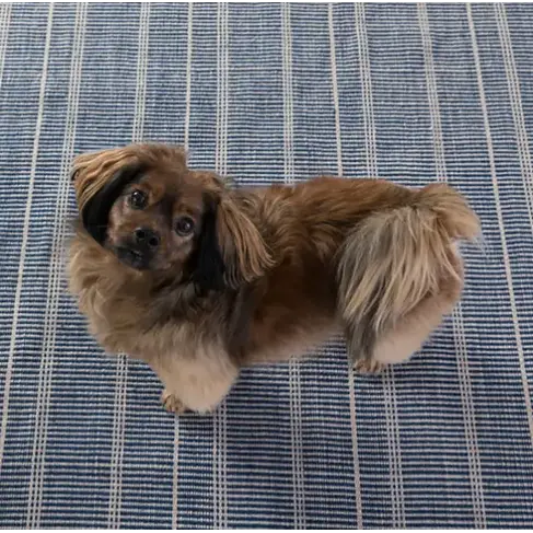 Samson Navy Indoor/Outdoor Rug (3x5 in-stock)