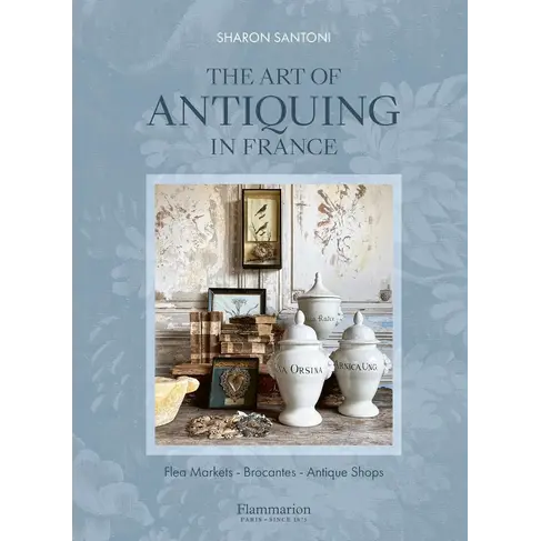 'The Art of Antiquing in France' book (coming soon)