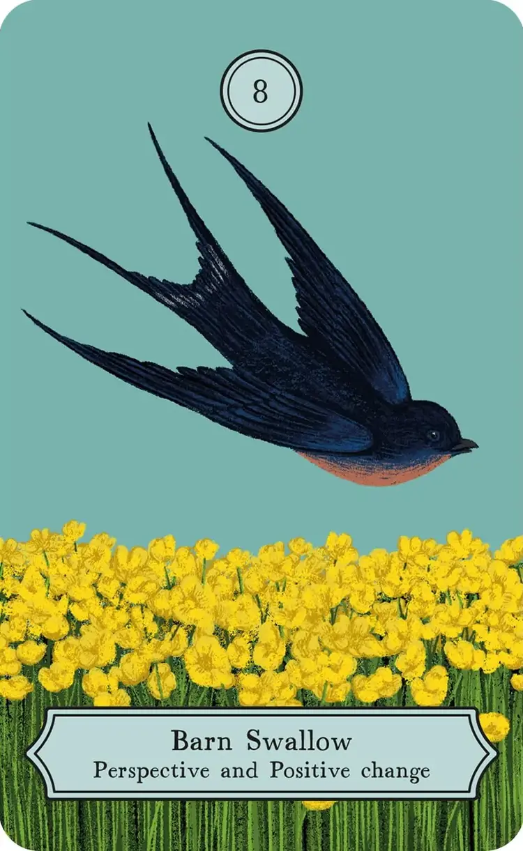 The Wisdom of Birds: Oracle Deck & Guidebook