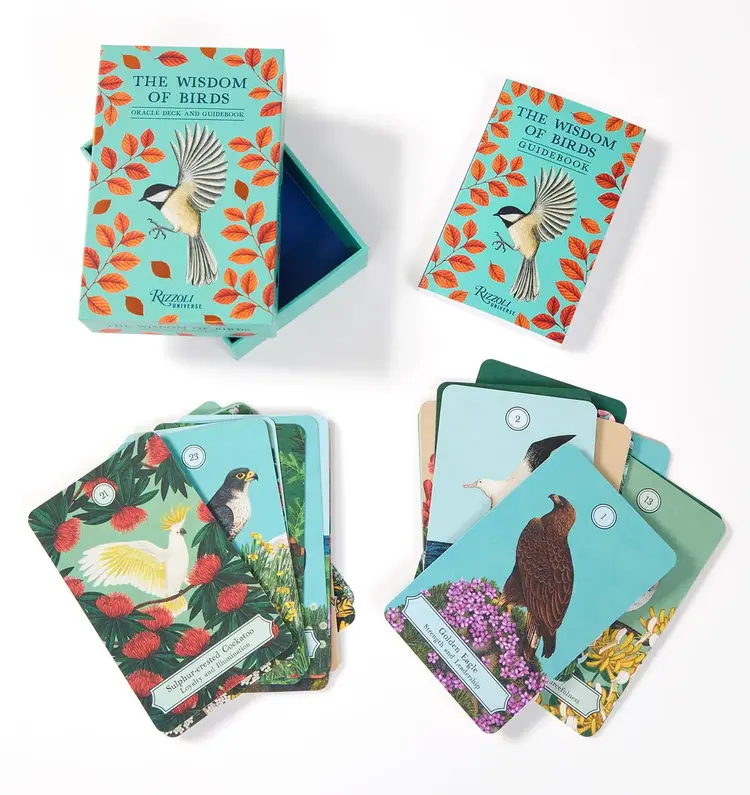 The Wisdom of Birds: Oracle Deck & Guidebook