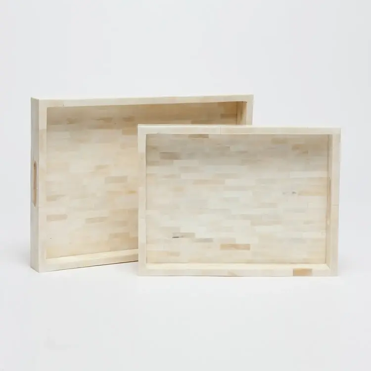 Dakota Bone Tray Set of 2