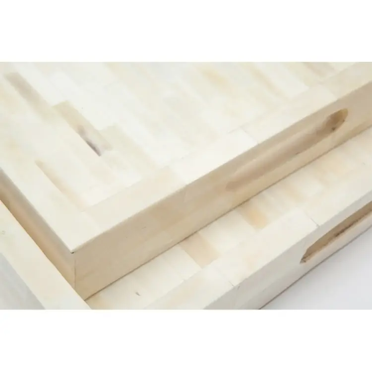 Dakota Bone Tray Set of 2