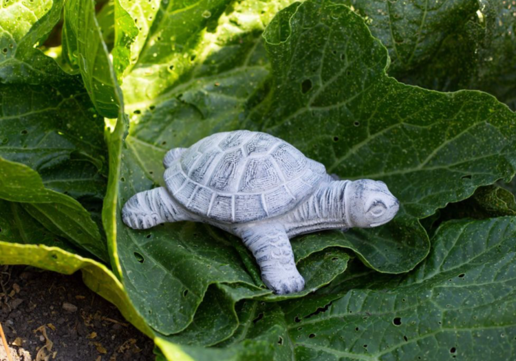 Decorative Cement Turtle Sculpture