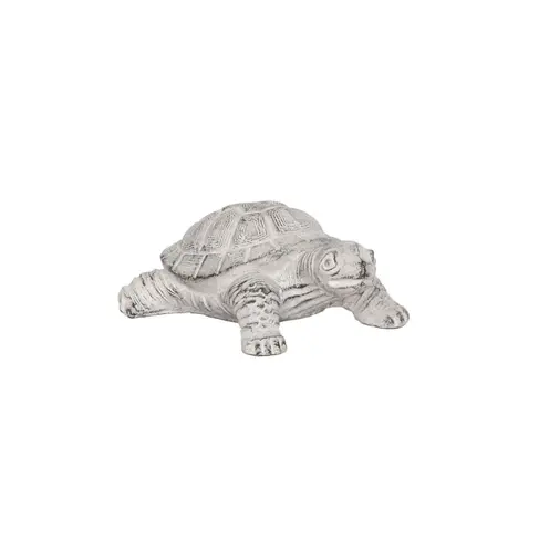 Cement Turtle