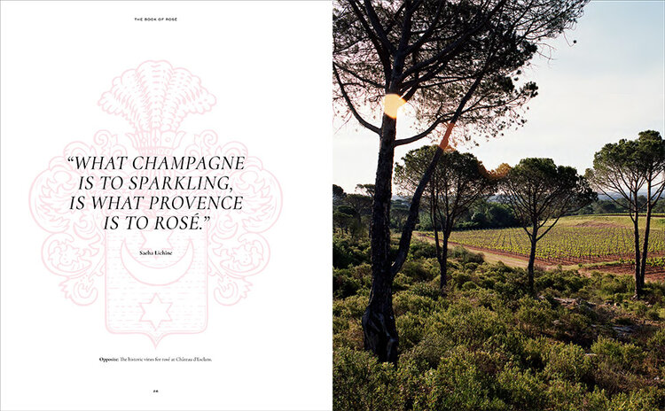The Book of Rosé: The Provençal Vineyard That Revolutionized Rosé