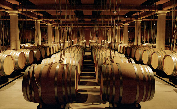 The Book of Rosé: The Provençal Vineyard That Revolutionized Rosé