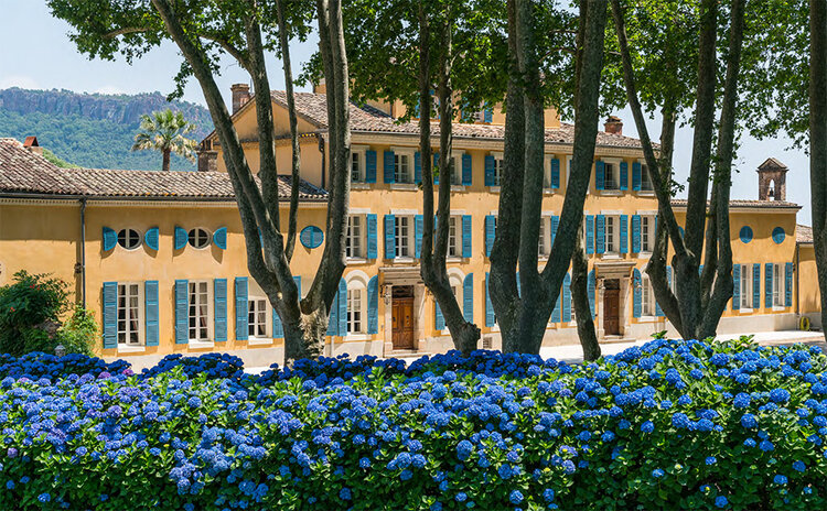 The Book of Rosé: The Provençal Vineyard That Revolutionized Rosé