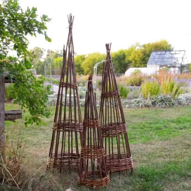 Willow Cone Trellis set