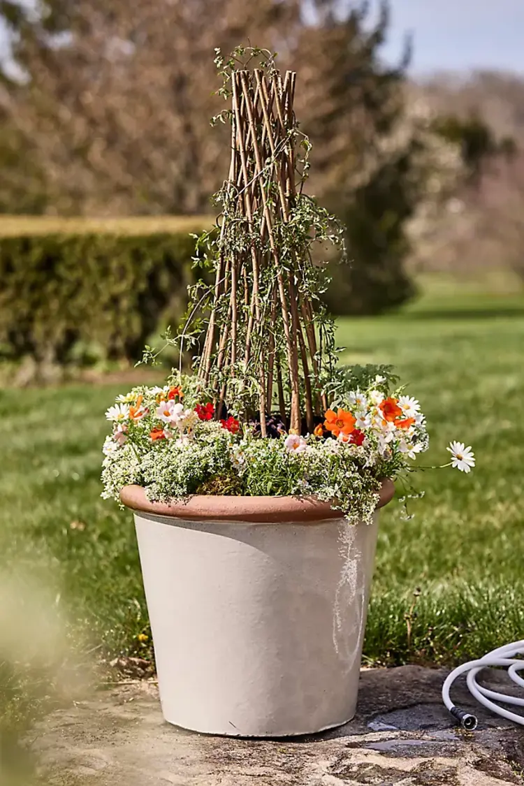Willow Cone Trellis set