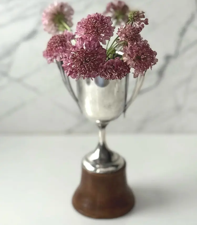 Antique Silver Plated Trophy