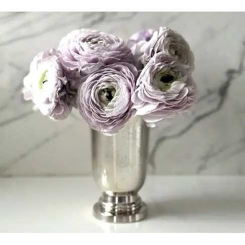Antique Silver-Planted Julep Cup / Vase