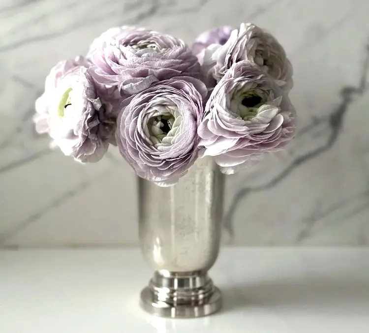 Antique Silver-Planted Julep Cup / Vase