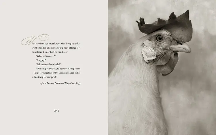 'Literary Chickens' coffee table book