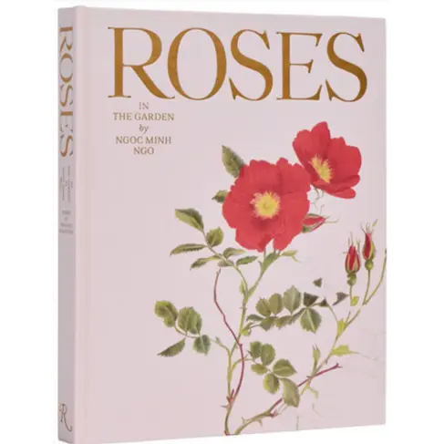 Roses in the Garden