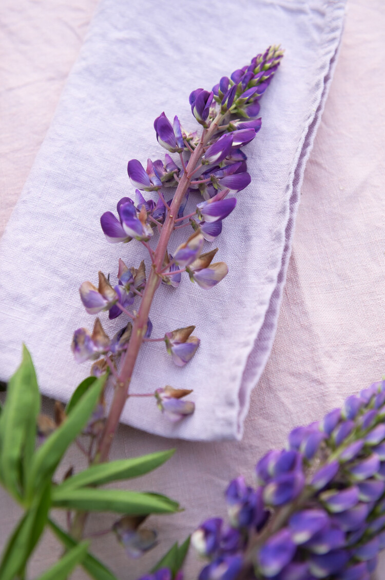 French Linen Napkins in Lilac (set of 6)