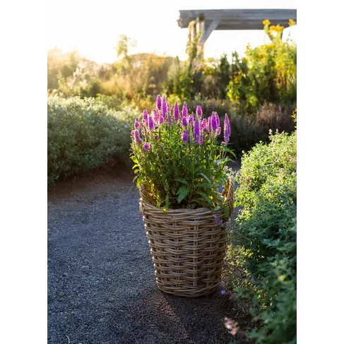 Grey Bushel Basket or Planter with liner