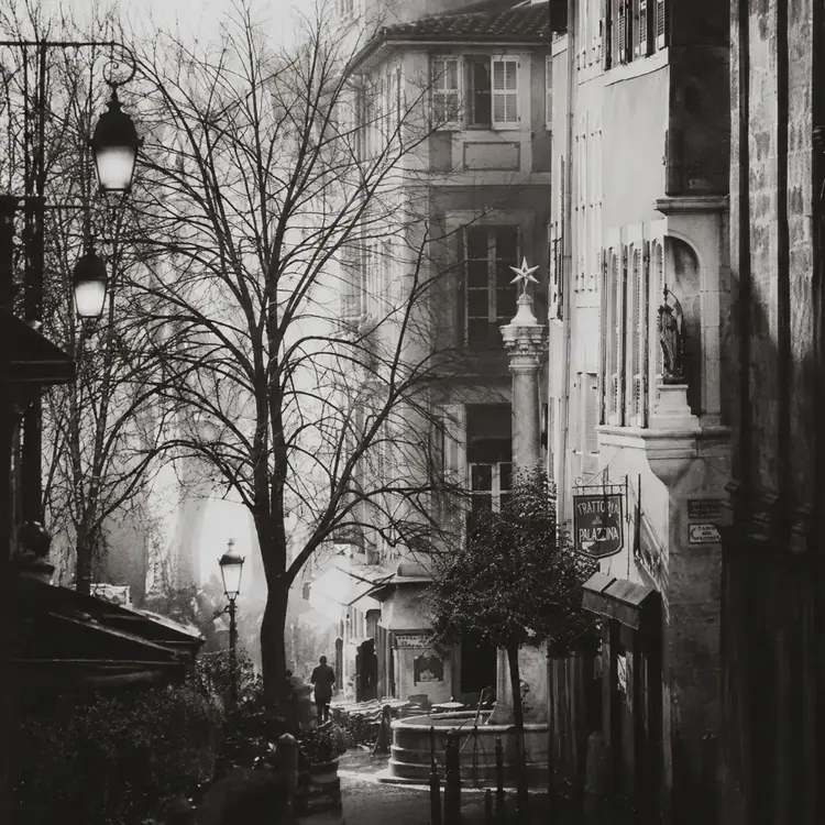 Original Framed Photograph 'Tree' by Jurek Nems