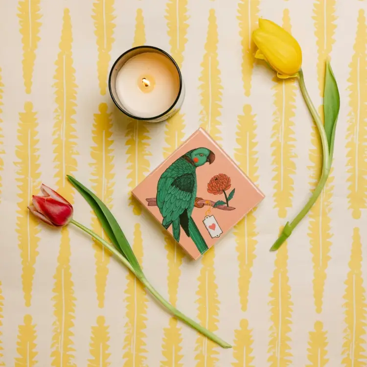 Parrot Long Luxury Matches