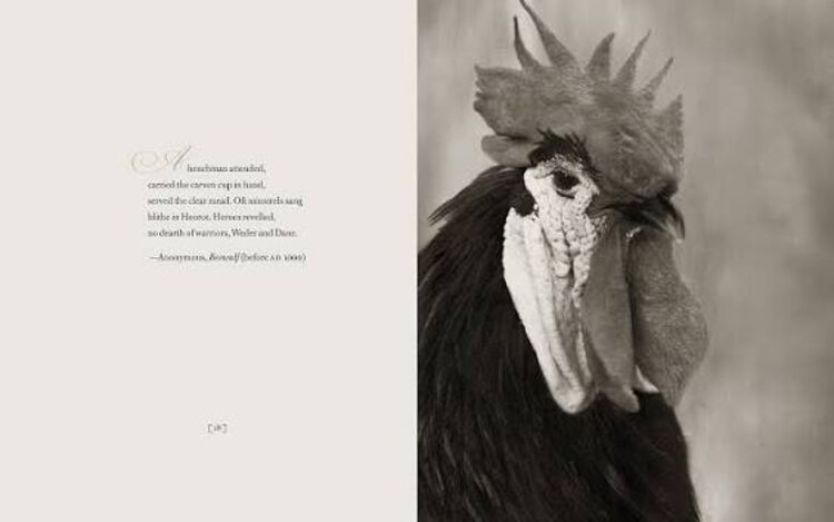 'Literary Chickens' book