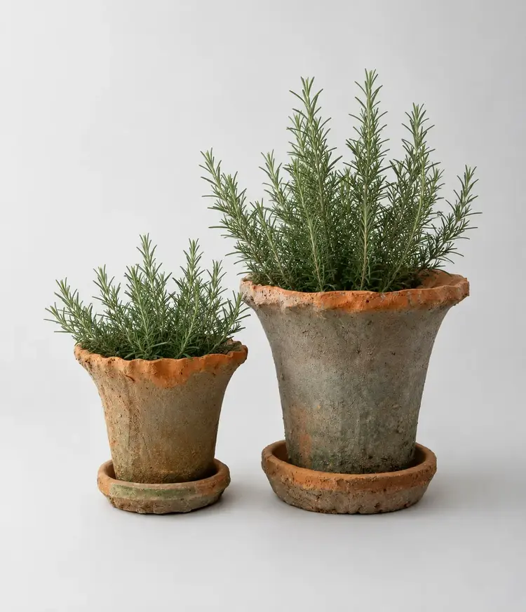 Redstone Planter Pot with Saucer