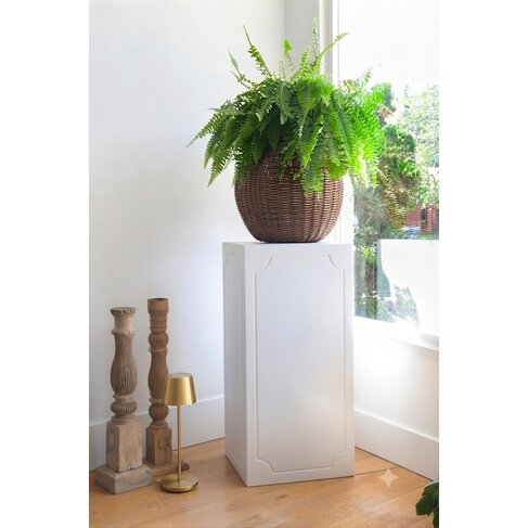 Walter Pedestal