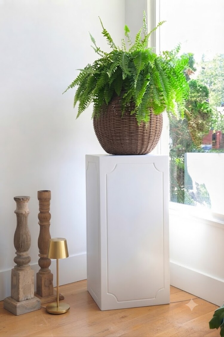 Walter Pedestal or Plinth base