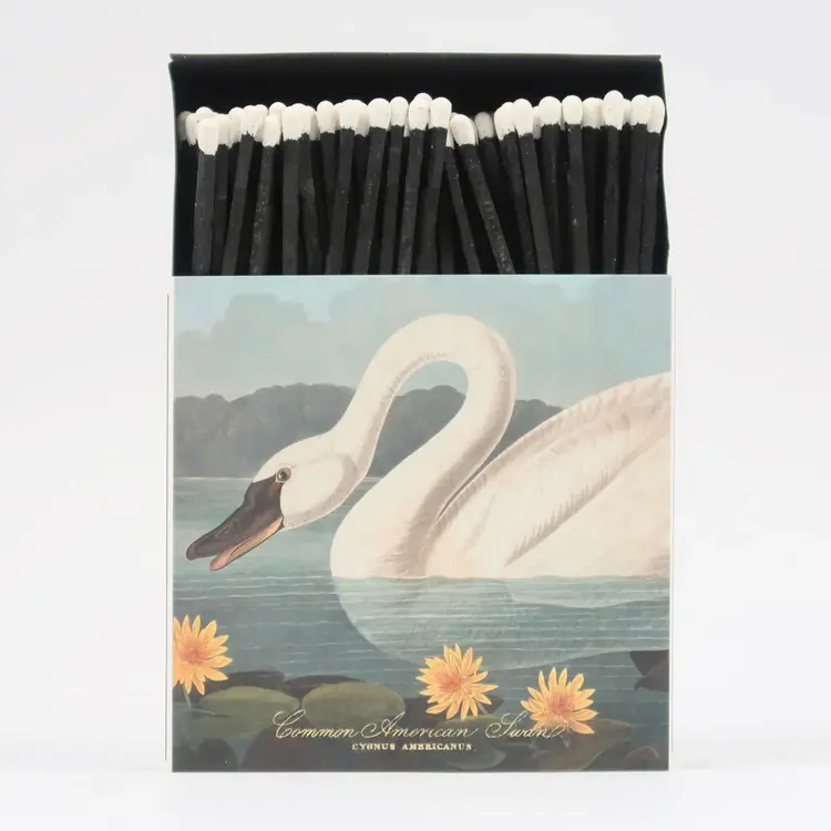 Common American Swan Matches