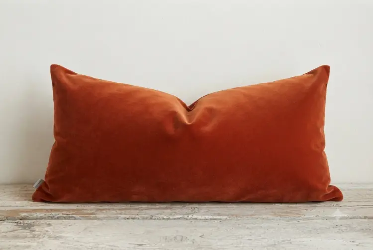 Emile Velvet Cushion in Burnt Orange