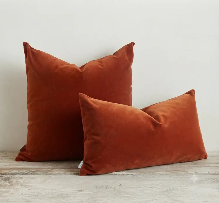 Emile Velvet Cushion in Burnt Orange