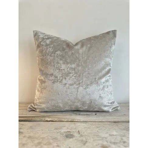 Musa Velvet Cushion in Silver 20x20"