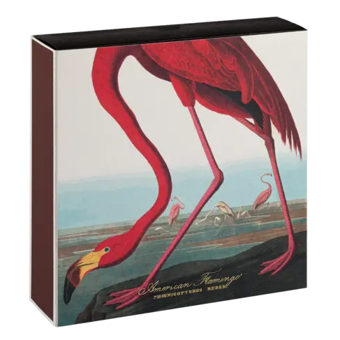 American Flamingo Matches