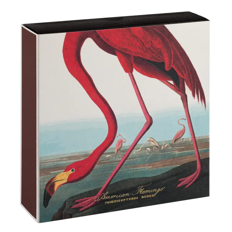 American Flamingo Matches