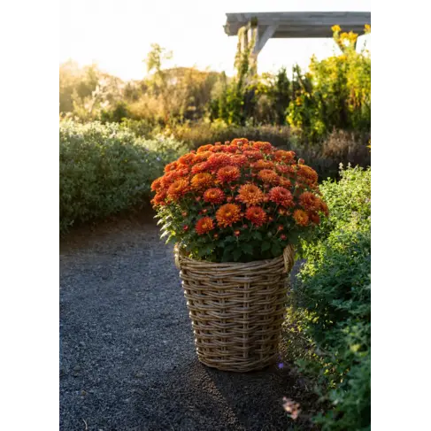Grey Bushel Basket or Planter with liner