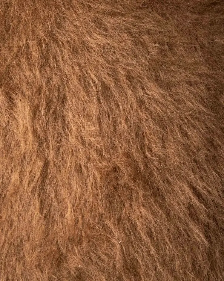 Woollyallen Cushion in Chestnut